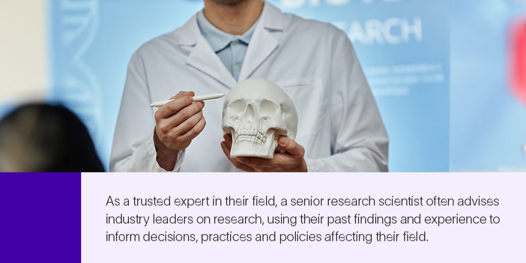 A senior research scientist points at a model skull to explain his research findings