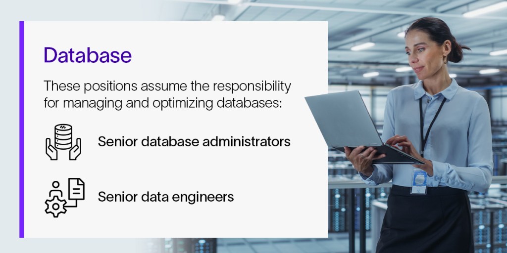 Senior database administrators and senior data engineers both work with databases