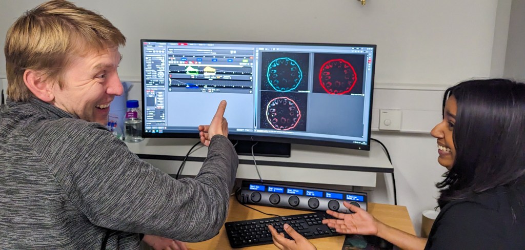 two people look happy, but puzzled, as they sit at a desk and examine a computer screen with graphs and images on it