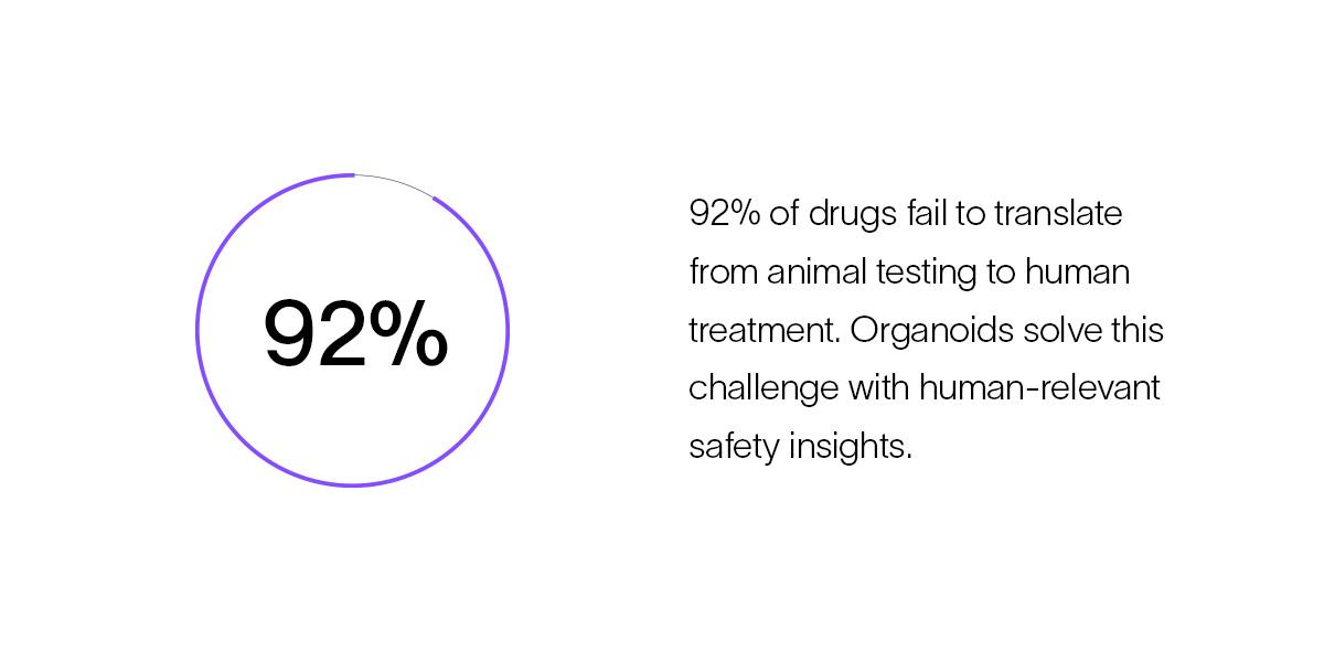The Science Behind Organoids and Drug Safety 