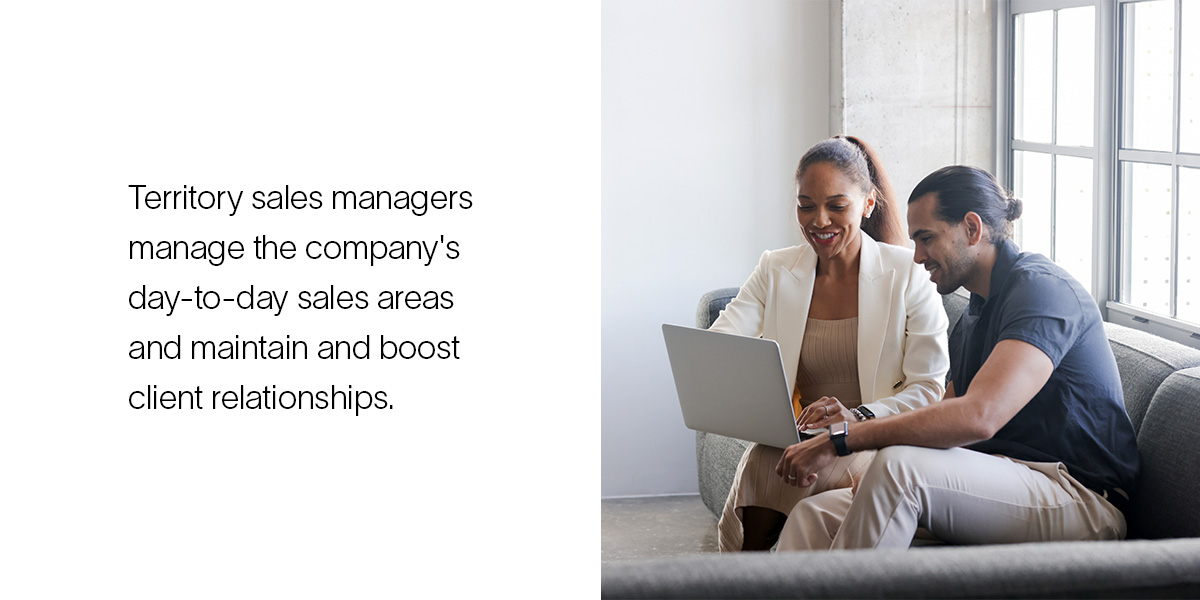What does a territory sales manager do?